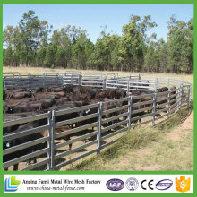 Baratos galvanizado Steel Cattle Panels para venda